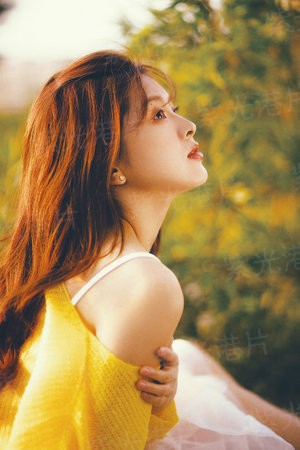 宦官的萌妻